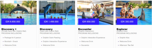 dolphin rates